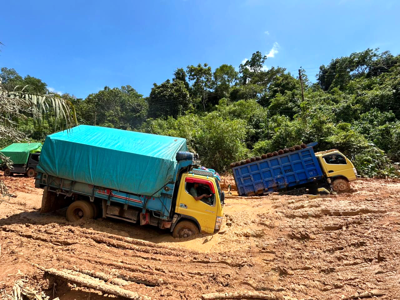 Ruas Jalan Provinsi di Ketapang Rusak Parah, Masyarakat Ketapang Teriak: Pemprov Kalbar dan DPRD Kalbar ke Mana?